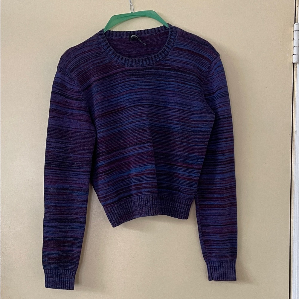 American Apparel Purple and Blue Striped Crewneck Sweater